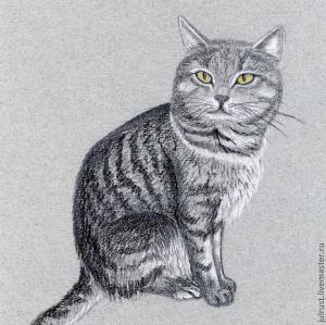 Картина Соседский Котяра, рисунок карандашом серый графика