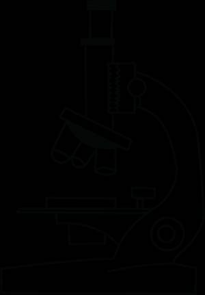 Микроскоп раскраска