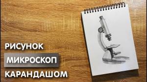 Как нарисовать микроскоп карандашом