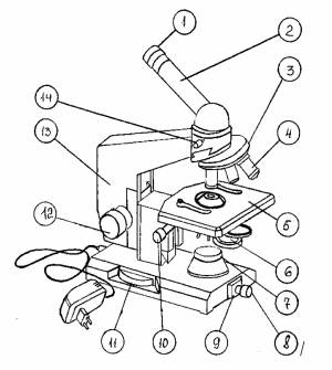 МИКРОБИОЛОГИЯ