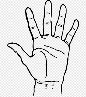 Молящиеся руки Книжка-раскраска Рисунок Ребенок, рука, белый, ребенок, лицо png