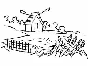 Раскраски Раскраска Мельница