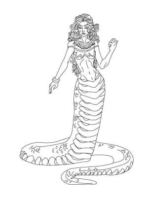 Раскраски Медуза