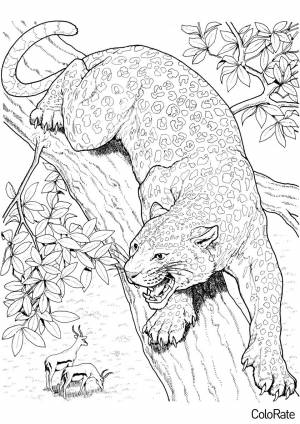 Раскраска Охотник