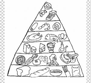 Пищевая пирамида Книжка-раскраска Пищевая группа Питание, Пищевая пирамида, ребенок, еда, пирамида png