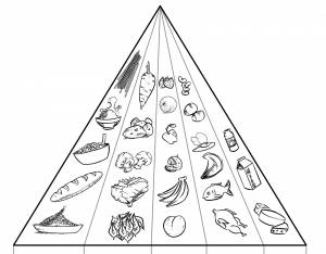 DataLife Engine > Версия для печати > Раскраски здоровое питание