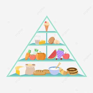Пищевая пирамида PNG , питание, Пищевая пирамида PNG , жир PNG картинки и пнг рисунок для й загрузки