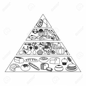 Пищевая пирамида рисунок