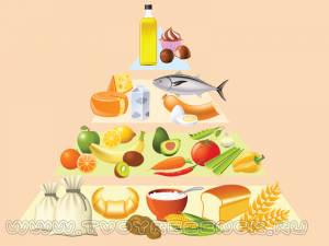 Пирамида питания