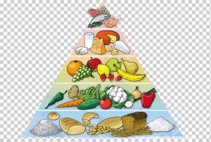 Пищевая пирамида Здоровое питание Питание Питание, здоровье, еда, рождественские украшения, кухня png