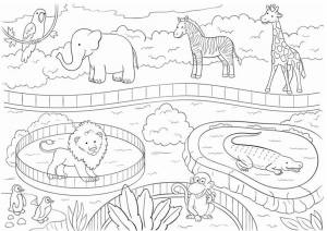 Раскраска Животные зоопарка