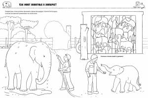 Московский зоопарк рисунок