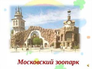 Детский рисунок московский зоопарк
