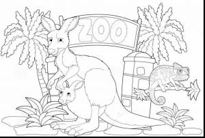 Зоопарк раскраска