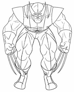 Раскраски росомаха