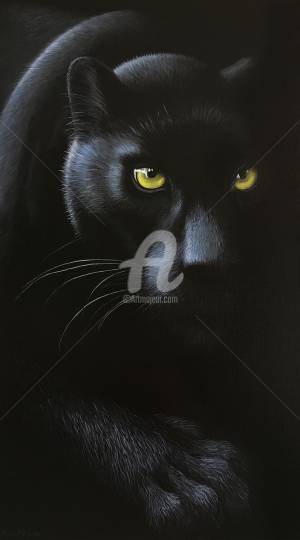 Черная Пантера