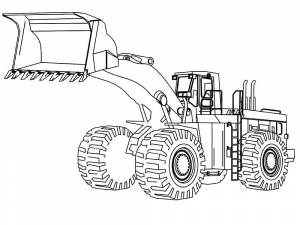 Раскраска по образцам