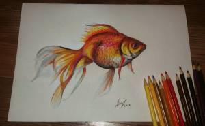 Карандашные рисунки