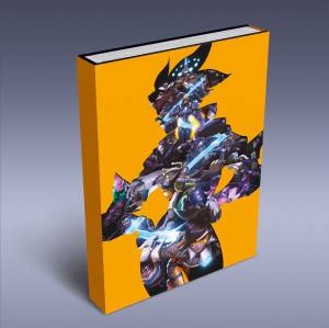 Overwatch