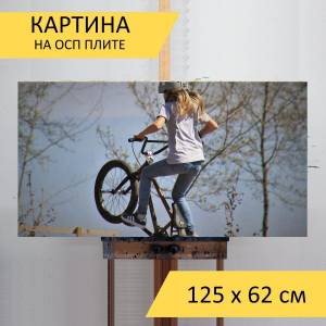 Картина Bmx, трюк, велосипед для интерьера на стену