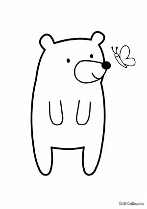 Раскраска Медведь для малышей