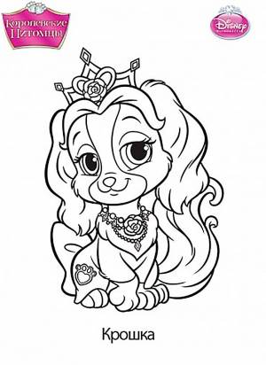 Раскраска королевские питомцы