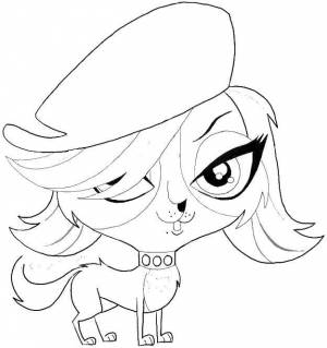 Раскраски Раскраска Зои тренд мой маленький зоомагазин