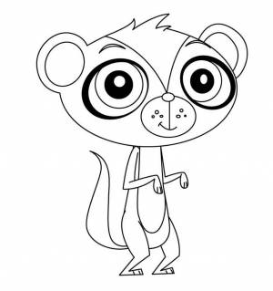 Маленький зоомагазин раскраска