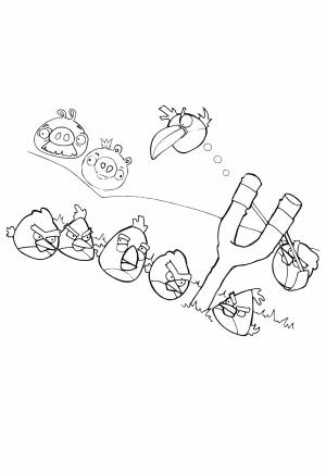 Раскраска Злые Птицы Рогатка