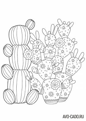 Раскраски кактусы
