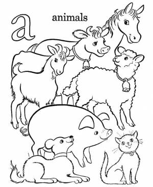 Раскраски Раскраска Животные животные, Download print coloring page