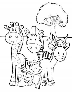 Раскраски Раскраска Африканские животные раскраски, Download print coloring page