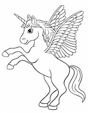 Раскраски единороги