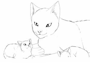 Раскраски ЖИВОТНЫЕ, Раскраска Кошка милые животные