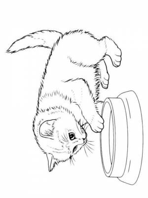 Раскраска Милые Котики   в формате