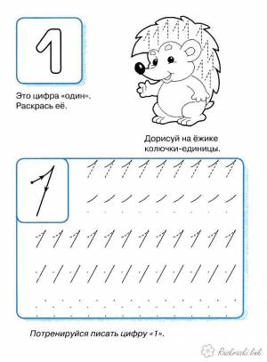 раскраски цифры пропись математика