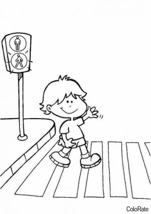 Раскраска Сигналы пешеходного светофора