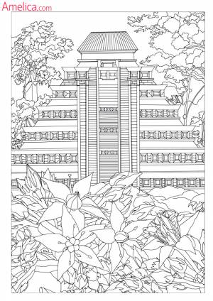 сложные раскраски для взрослых антистресс Amelica