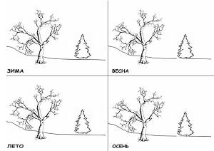 Раскраска времена года