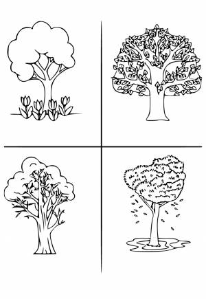 Раскраска Времена Года Деревья