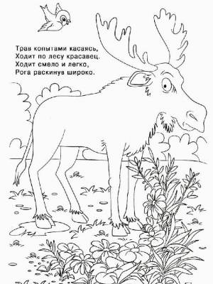 Раскраски с загадками   в формате