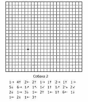 ГРАФИЧЕСКИЙ ДИКТАНТ  РАСКРАСКИ