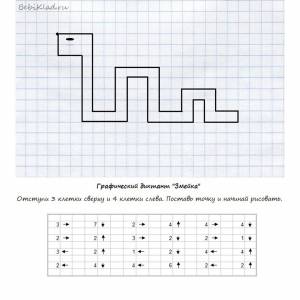 Рисунки по клеточкам для детей цветные