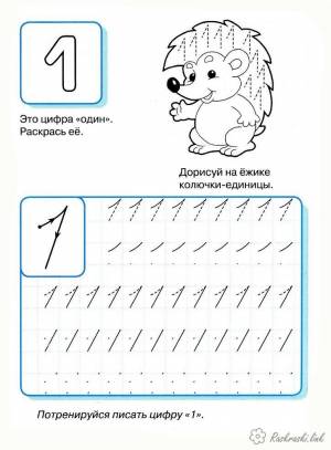 Раскраски Прописи цифры ежик цифры один потренируйся писать цифру один