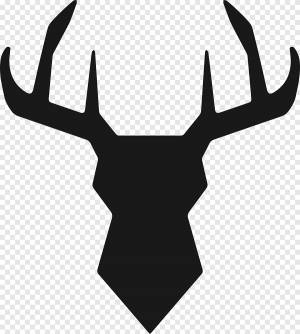 олень, рога оленя, животное, лесное животное, лес, логотип, символ, простой, современный, png