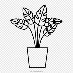 Лекарственные растения Рисование Книжка-раскраска Лист, растение, лист, ветка, симметрия png