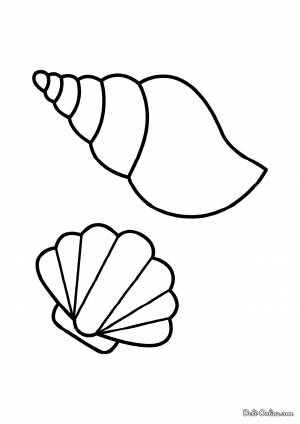 Раскраска Ракушки для малышей