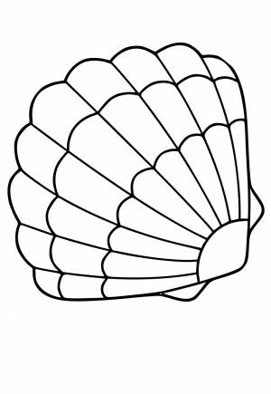 Раскраска Морская Ракушка Легко