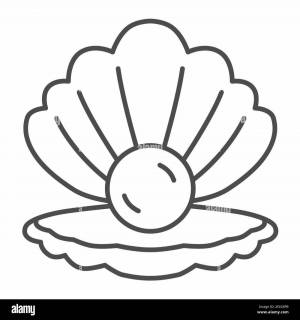 Раскраски Ракушка с жемчужиной