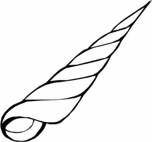 Раскраски ракушка, Раскраска Остроконечная ракушка ракушка